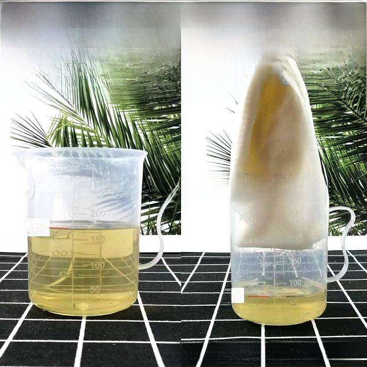Disposable Thickened Wood Pulp - Home Barber ulasan dan harga